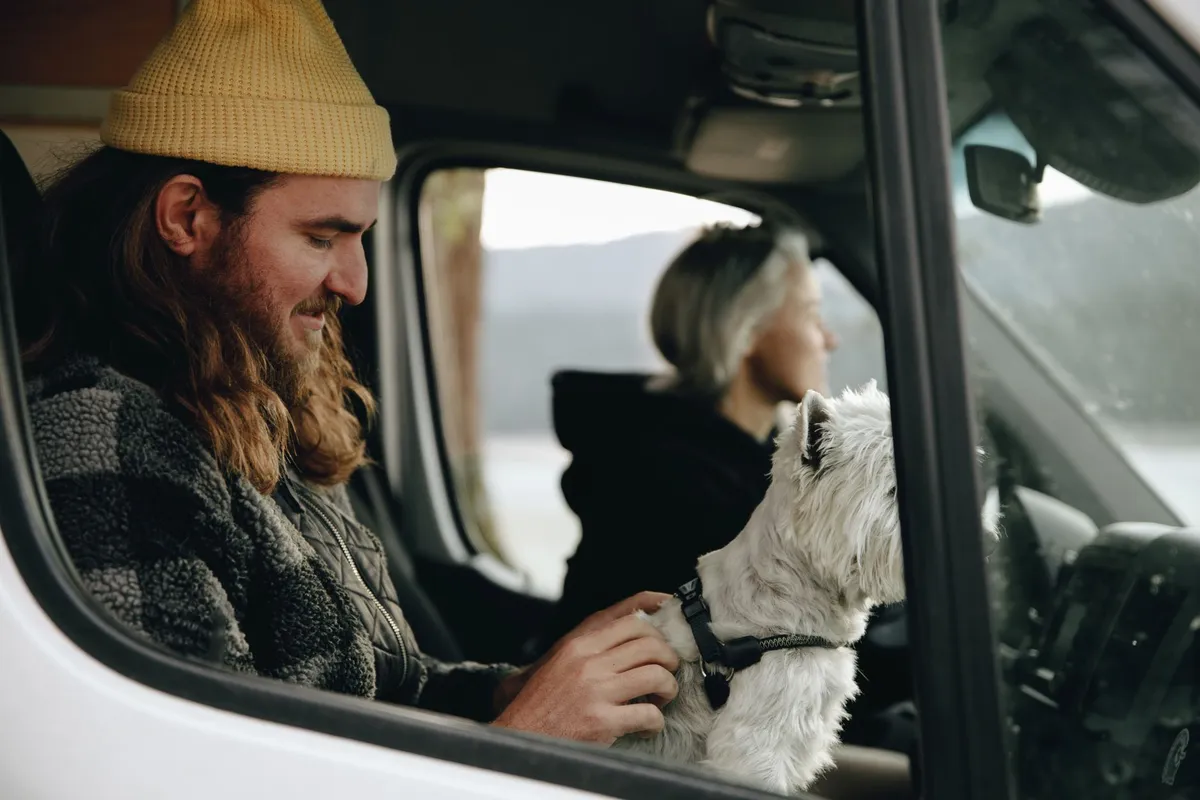 A dog sitting calmly next to a grooming van